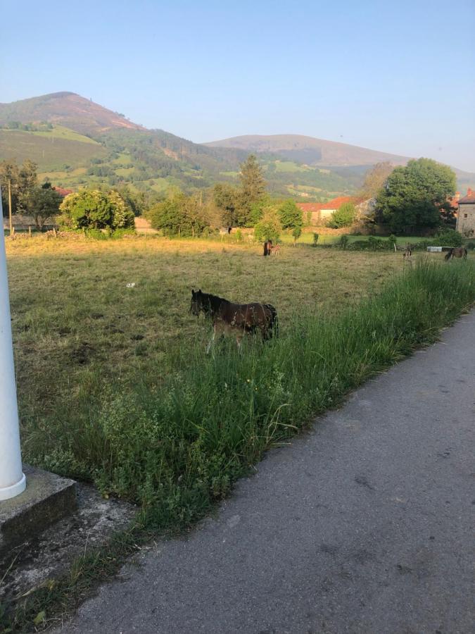 Willa Casa El Campano Ontaneda Zewnętrze zdjęcie