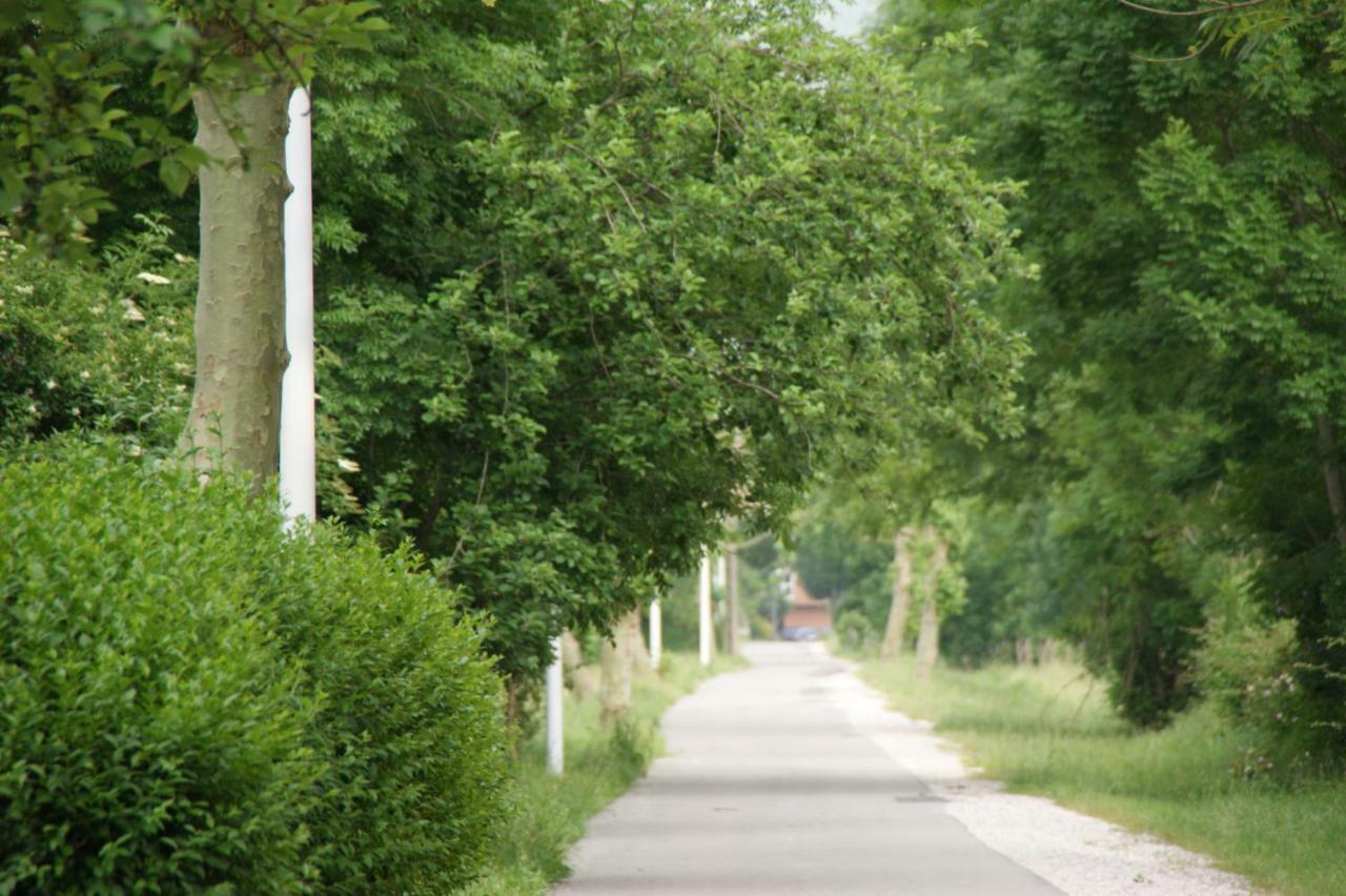 Willa Casa El Campano Ontaneda Zewnętrze zdjęcie